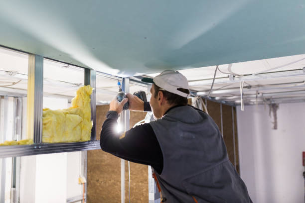 Best Insulation Maintenance and Repair in Rogers City, MI