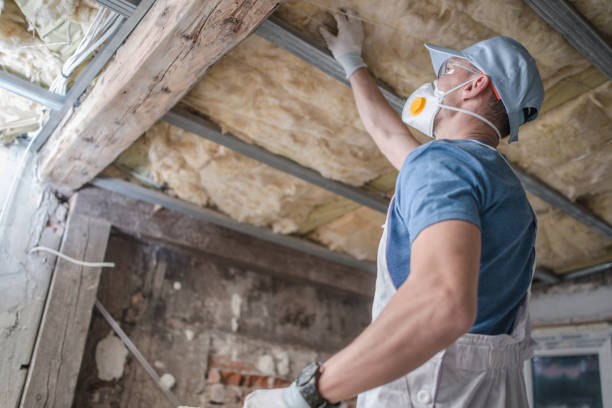 Best Cellulose Insulation in Rogers City, MI